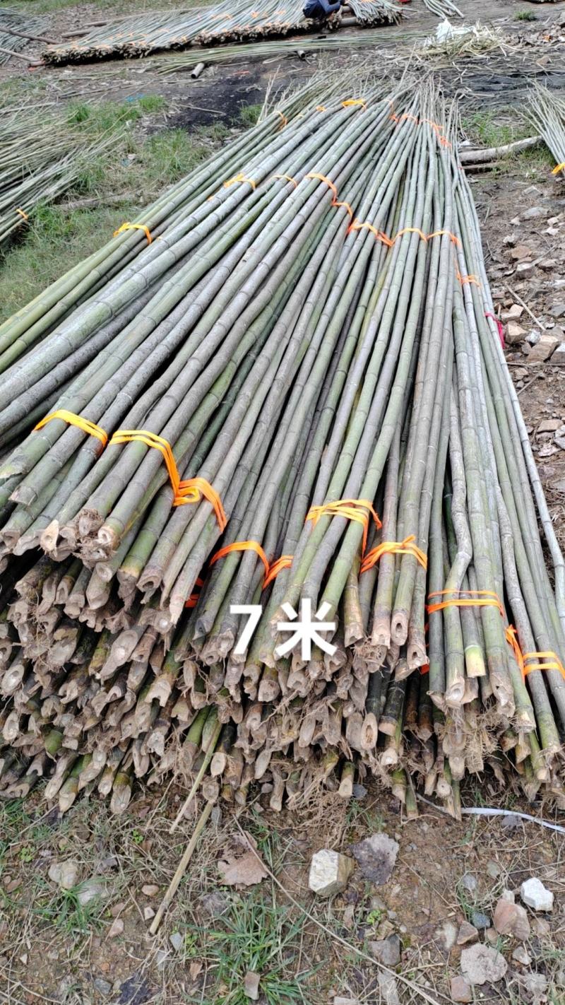 竹竿(精品)，产地直发，量大价优！欢迎咨询！