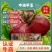 中油早玉5月早熟油桃苗白肉红果另有毛桃苗蟠桃