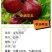 中油早玉5月早熟油桃苗白肉红果另有毛桃苗蟠桃