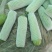 云南小瓜西葫芦大量供应保质保量对接全国市场量大从优