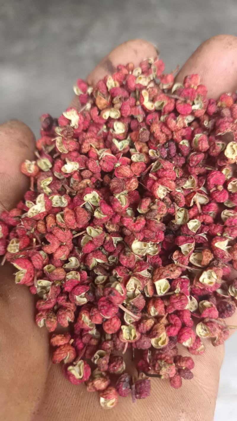 韩城大红袍花椒