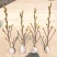 新品玉兰花树苗四季开花嫁接苗红黄白紫玉兰树苗盆栽地栽苗