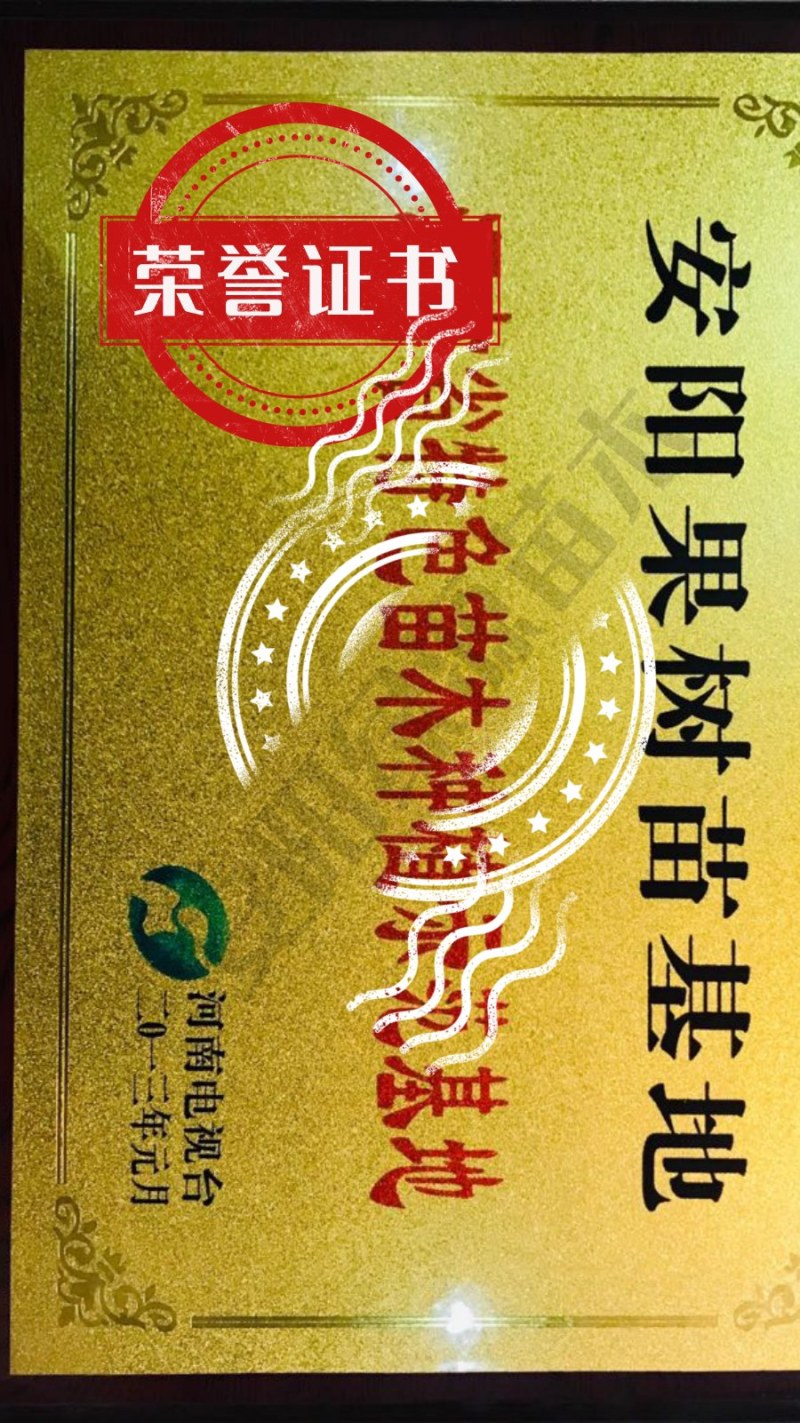 中油金星6月早熟油桃苗小果高糖另毛桃苗蟠桃苗血桃苗