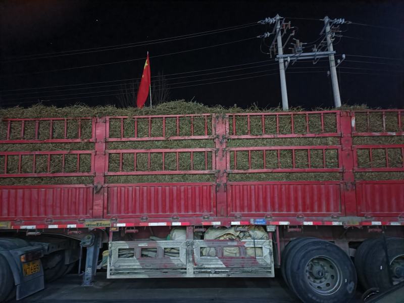艾草根，艾草根，纯度高，包回收量大从优欢迎来电咨询