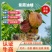紫霞6月早熟油蟠桃苗中小果高糖浓甜另有黄桃毛桃苗黄金蜜苗