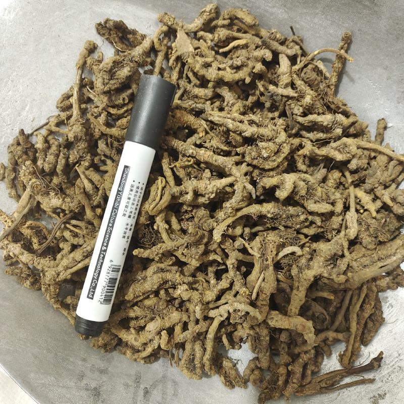 黄连，过筛新货，产地货源，保质保量，批发各种中药材欢迎订