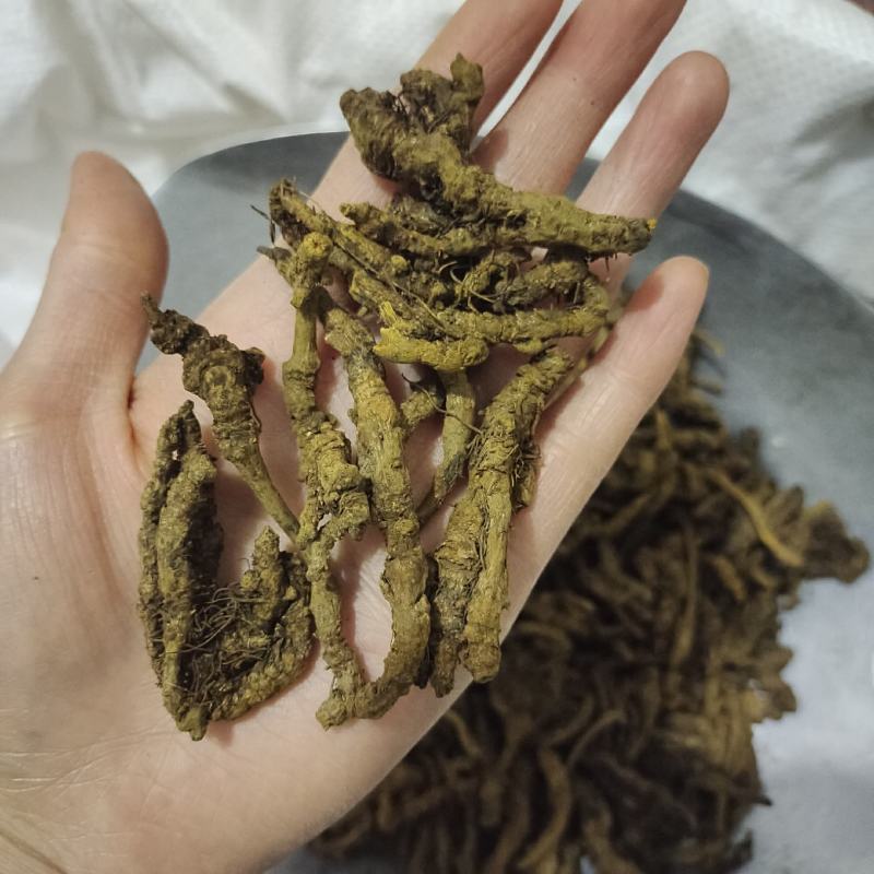 黄连，过筛新货，产地货源，保质保量，批发各种中药材欢迎订
