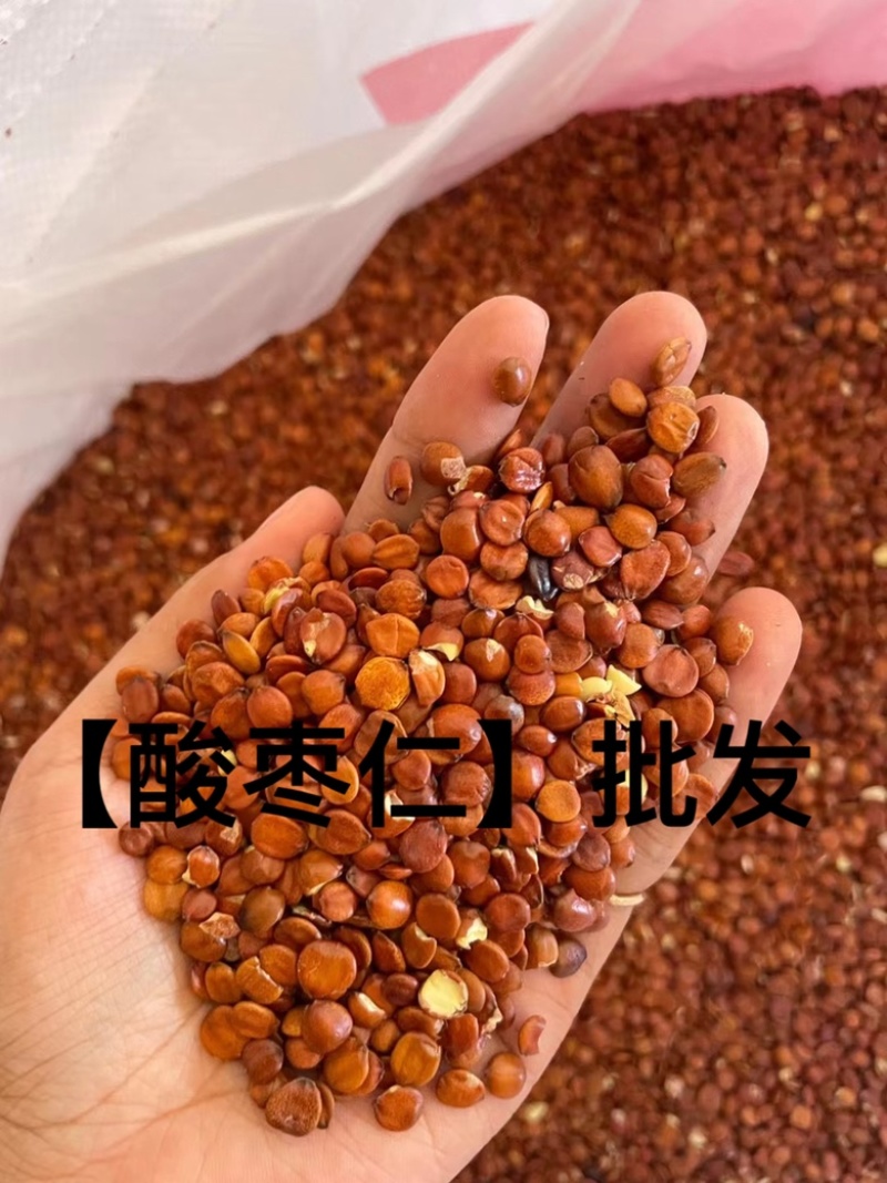 酸枣仁理枣仁进口枣仁支持全国发货
