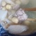 鲜莲子#通芯鲜莲子预订中