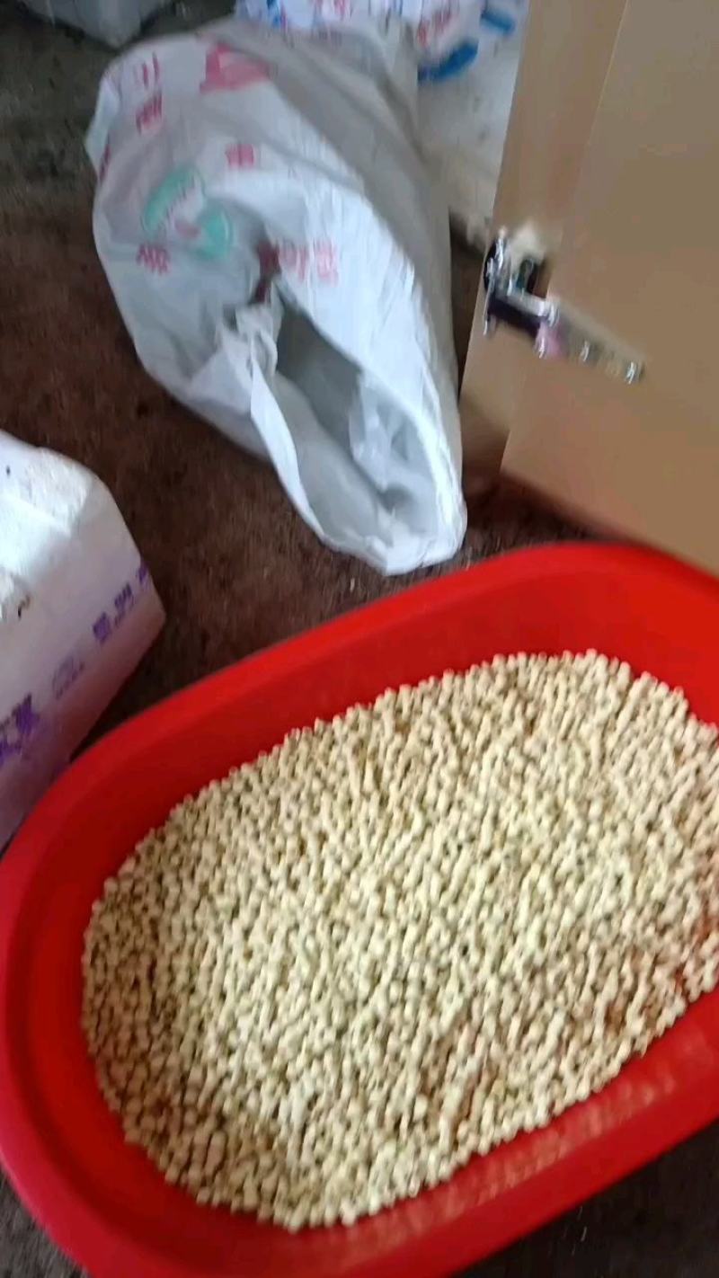 鲜莲子#通芯鲜莲子预订中