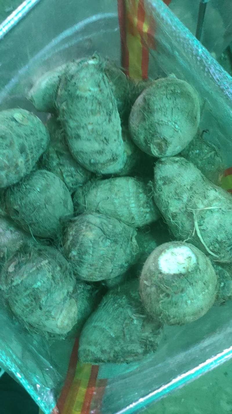 芋头上市中，需要联系