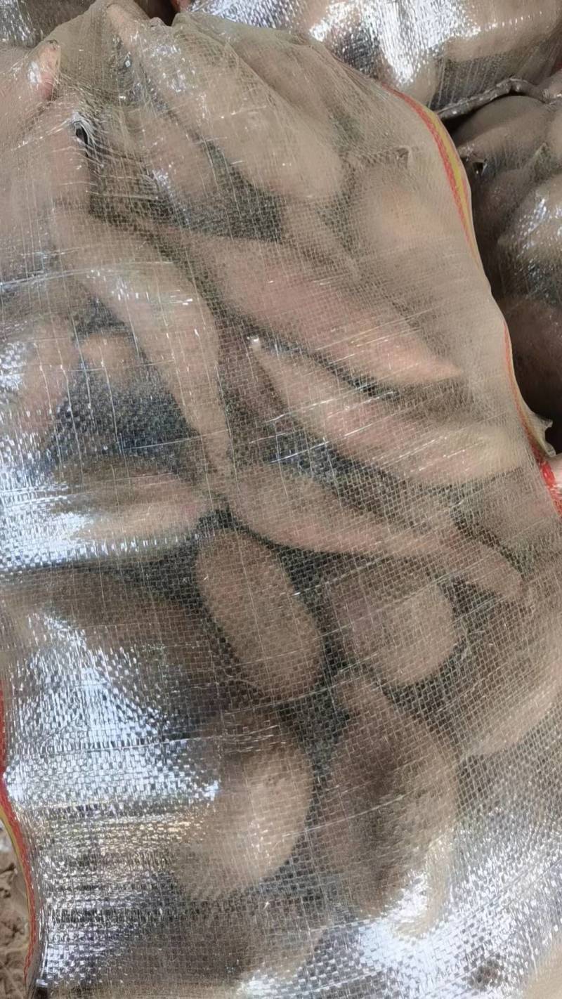 产地直发，大量有货欢迎各地老板前来选购。