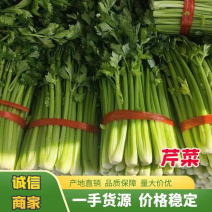西芹芹菜永年大市场稳定档口收货配货方便保质保量