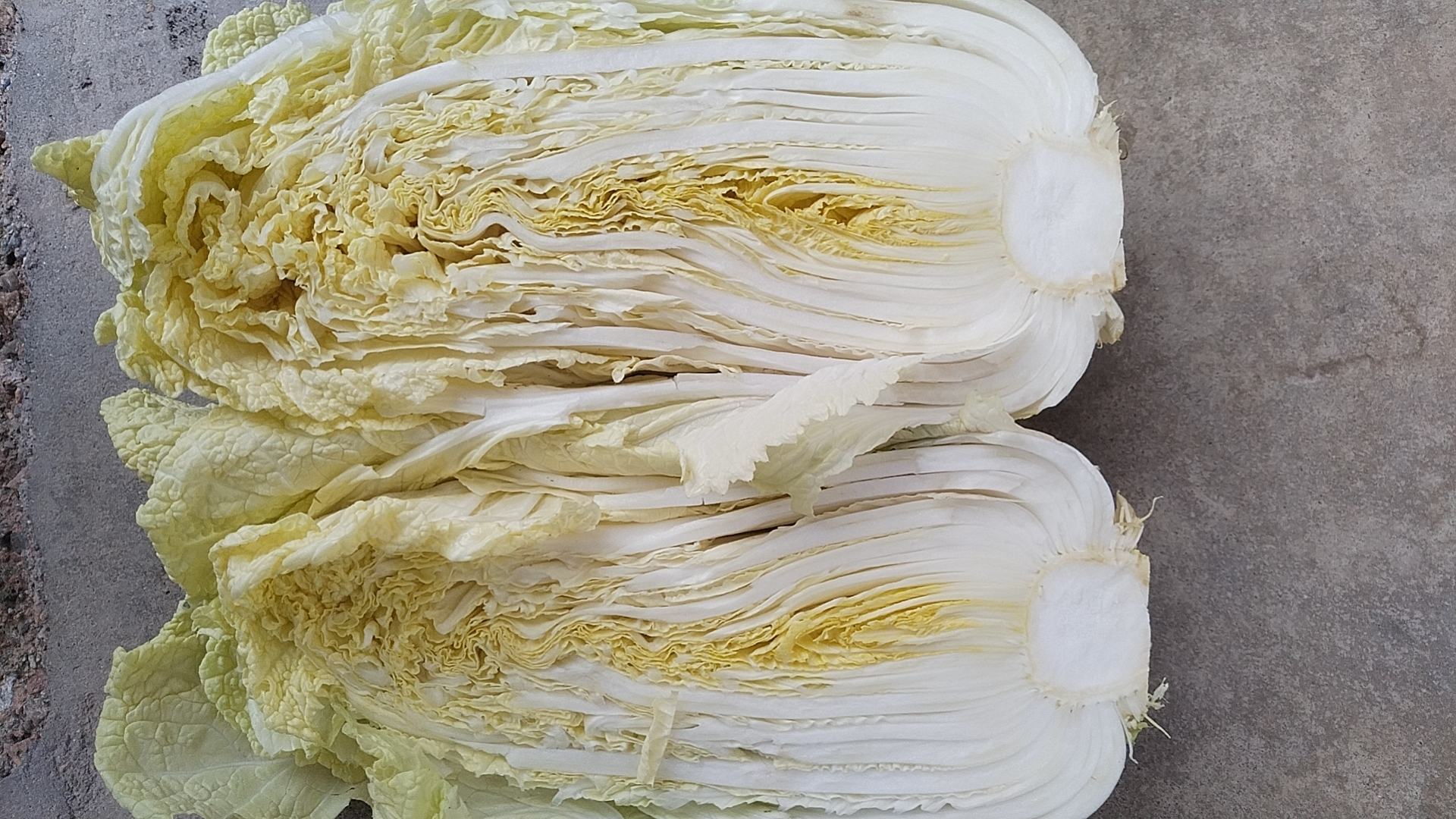 白菜的多种健康烹饪方式示意图