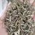 荆芥山东七彩百草中药材批发多种规格产地供应