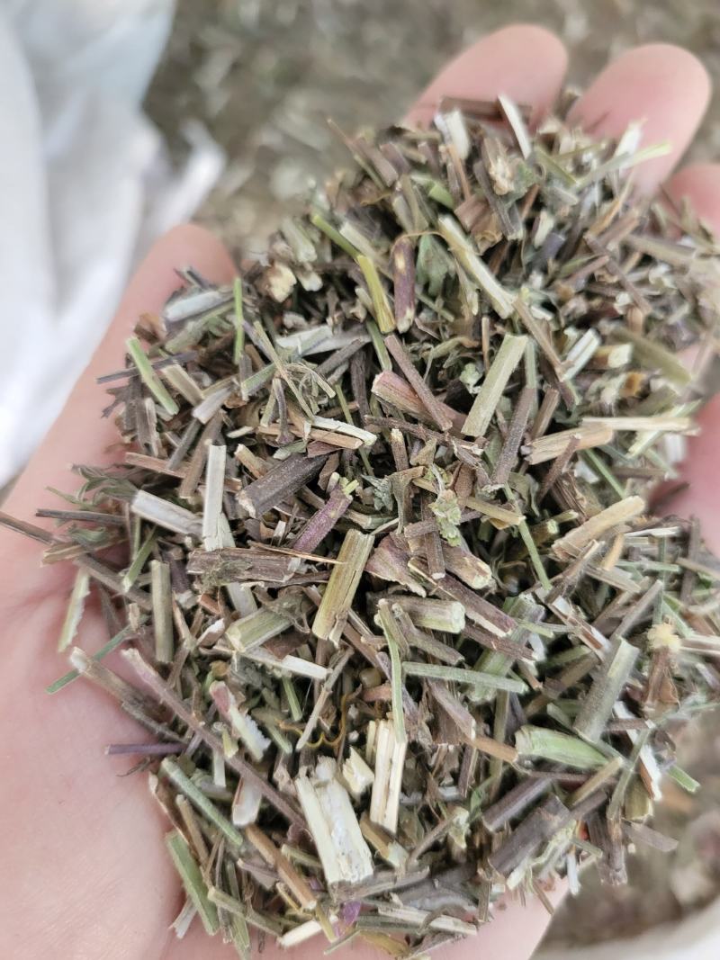 荆芥山东七彩百草中药材批发多种规格产地供应