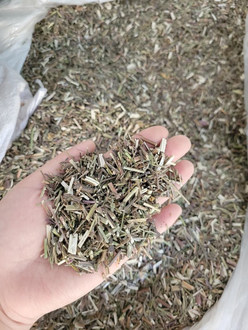 荆芥山东七彩百草中药材批发多种规格产地供应