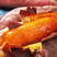河北烟薯25烤薯万亩基地精品发货一手货源价格实惠