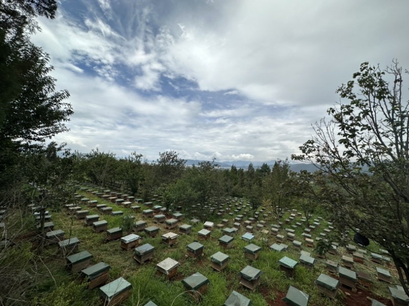 云南玉溪市江川区蜂巢蜜，蜂厂直供，不加水，没有中间商。