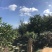云南玉溪市江川区蜂巢蜜，蜂厂直供，不加水，没有中间商。