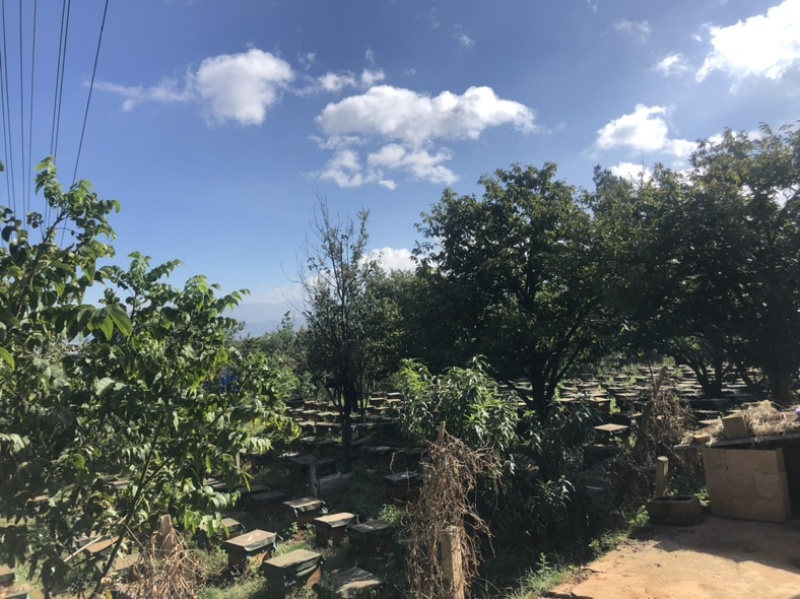 云南玉溪市江川区蜂巢蜜，蜂厂直供，不加水，没有中间商。
