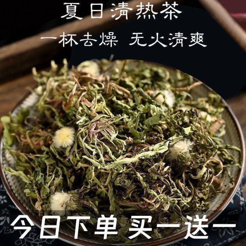 新货野生蒲公英天然整棵带根干的特级蒲公英茶婆婆丁