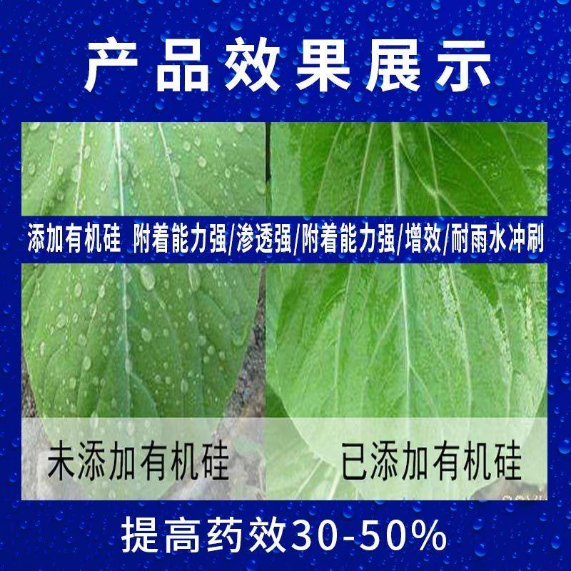 农用有机硅防水增效助剂强力渗透剂除草杀虫增产必加农药
