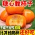山西临猗阳丰柿子。甜柿子，脆甜，当天采摘当天发货
