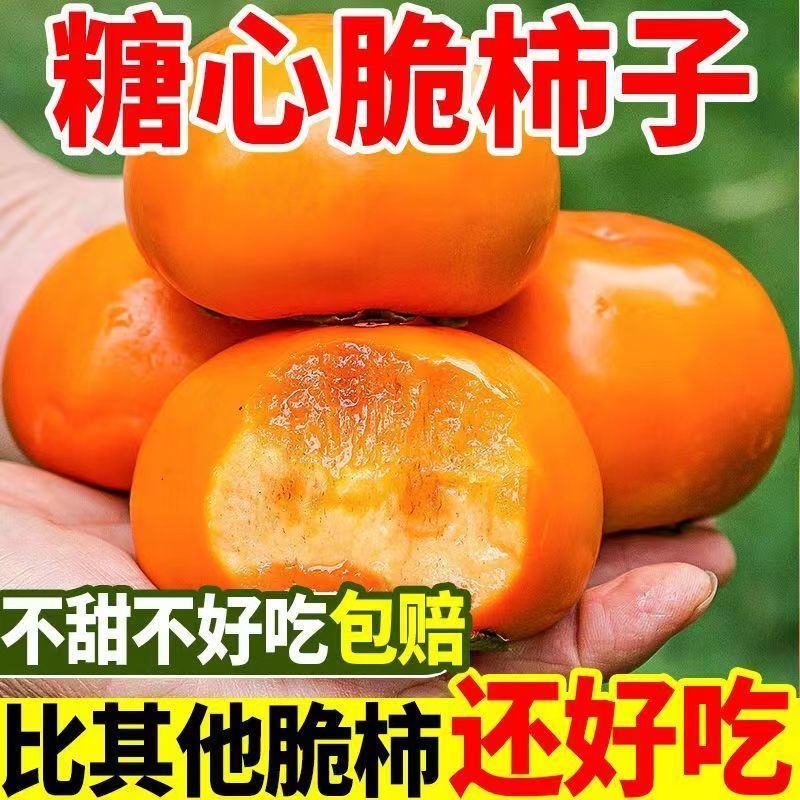 山西临猗阳丰柿子。甜柿子，脆甜，当天采摘当天发货