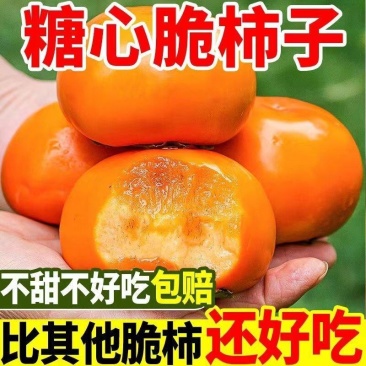 山西临猗阳丰甜柿，产地直发，当天采摘当天发货当天装车