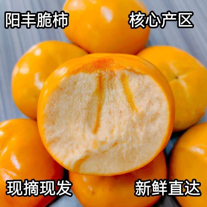 山西临猗阳丰甜柿，产地直发，当天采摘当天发货当天装车