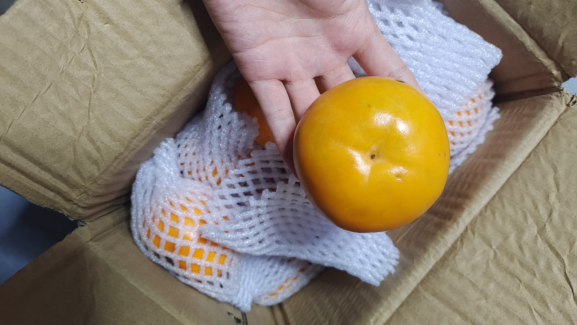 脆柿冷藏包装示意图