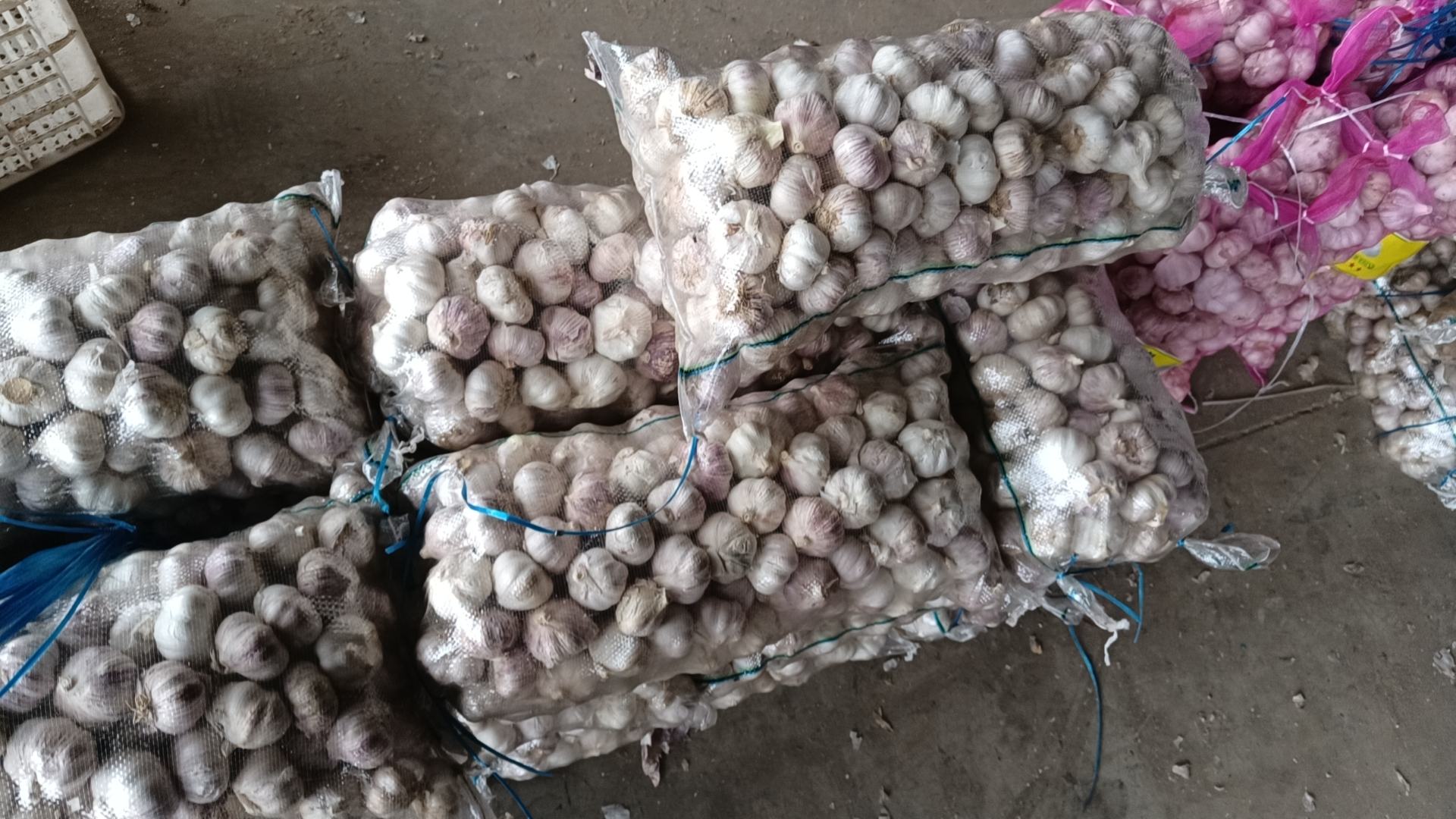 邳州苔蒜包装与运输现场