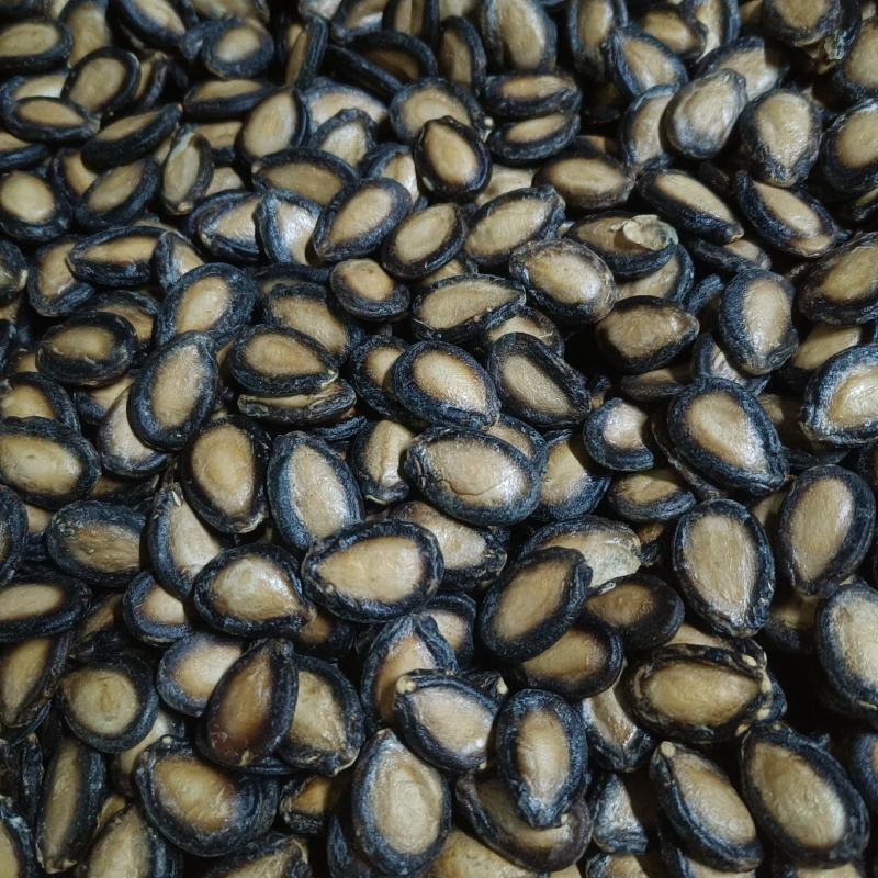 精选大片西瓜子