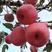 烟台红富士苹果，75以上红富士苹果。条纹拉丝苹果