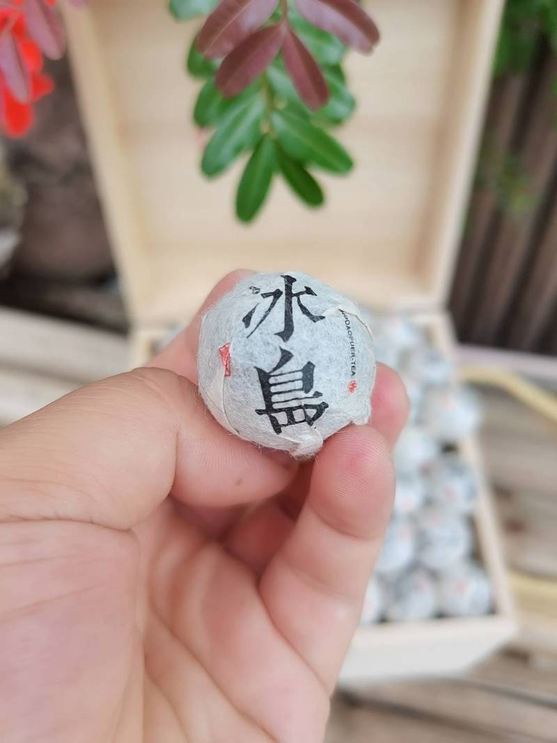 勐库冰岛古树龙珠云南古树龙珠8克冰岛生普普洱古树茶龙珠