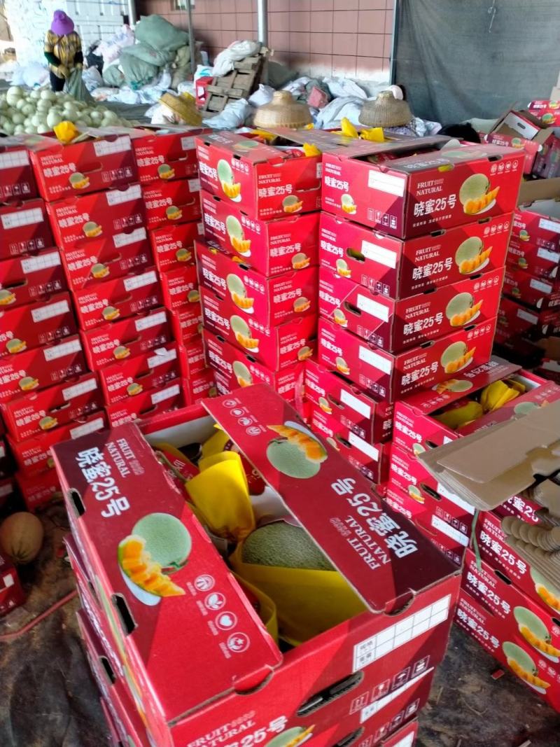 《优质商家》哈密瓜网纹瓜晓密25号可视频现场看货