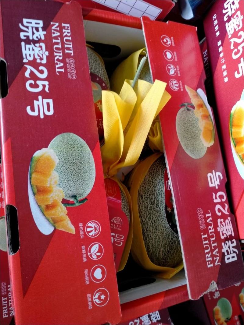 《优质商家》哈密瓜网纹瓜晓密25号可视频现场看货