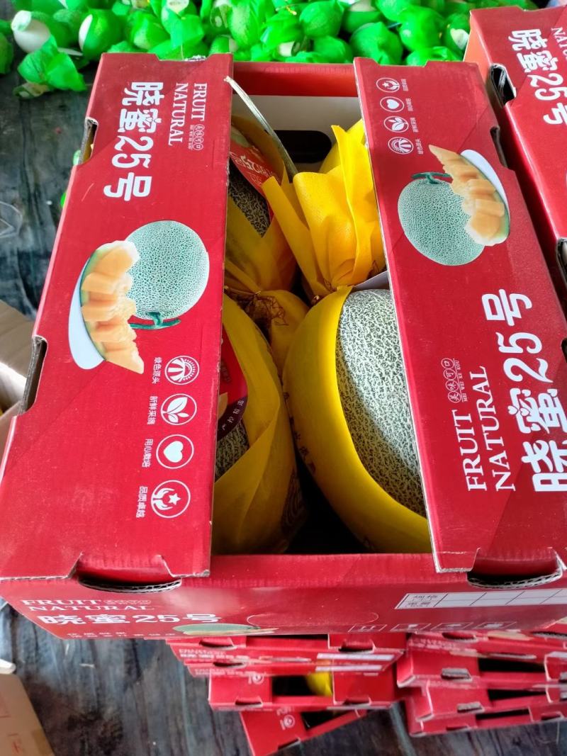 《优质商家》哈密瓜网纹瓜晓密25号可视频现场看货