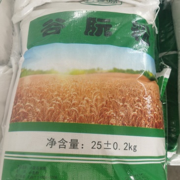 高筋高质量谷朊粉面筋粉