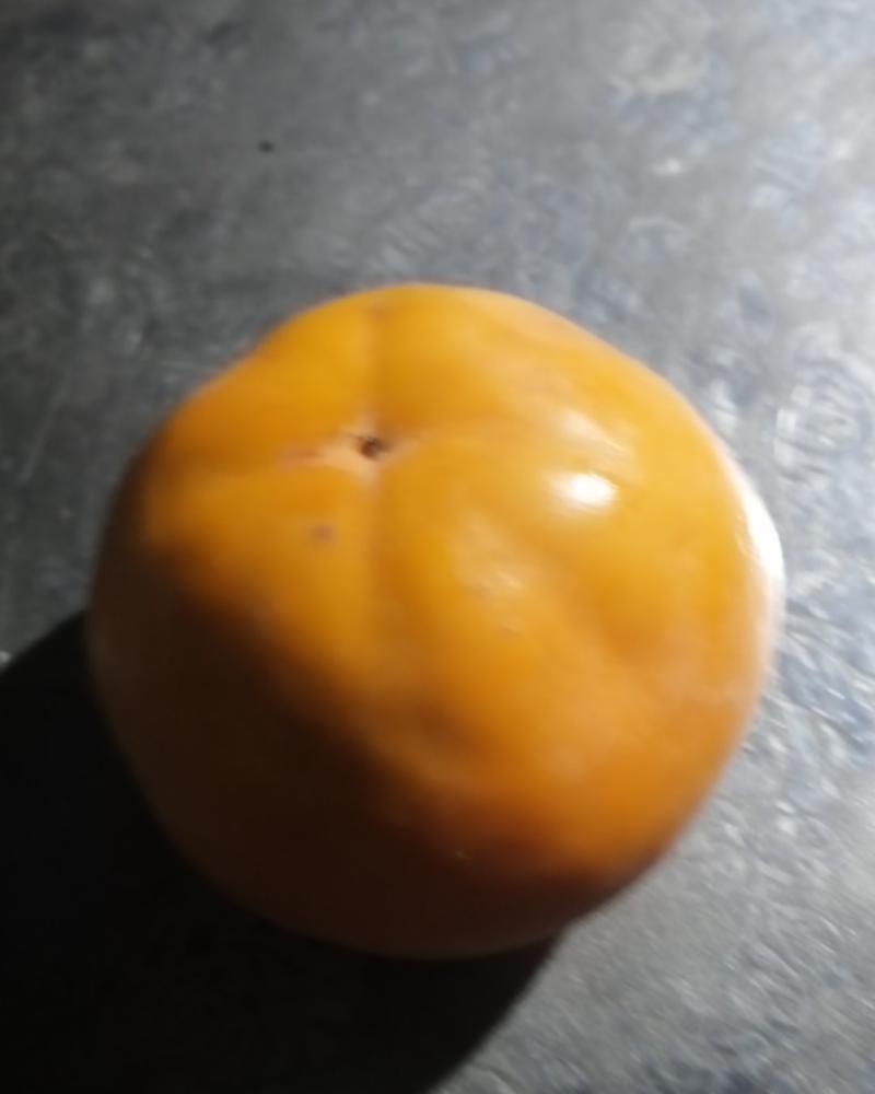 脆甜柿子
