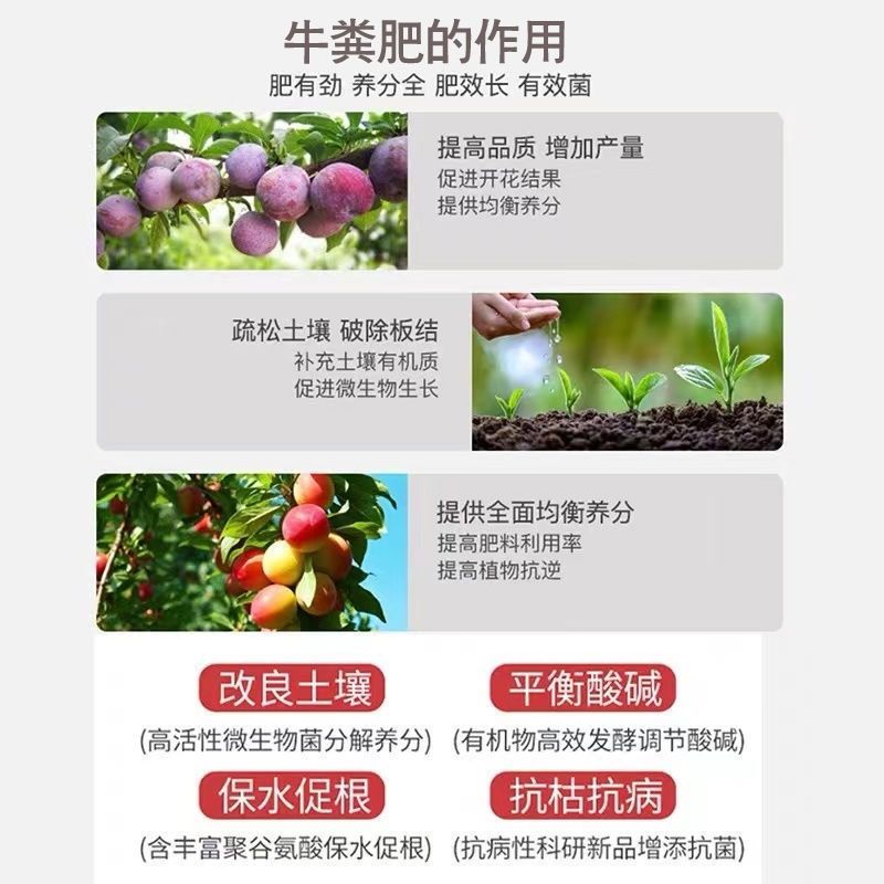 广东省英德发酵纯牛粪，质量保证欢迎采购诚信为本！！