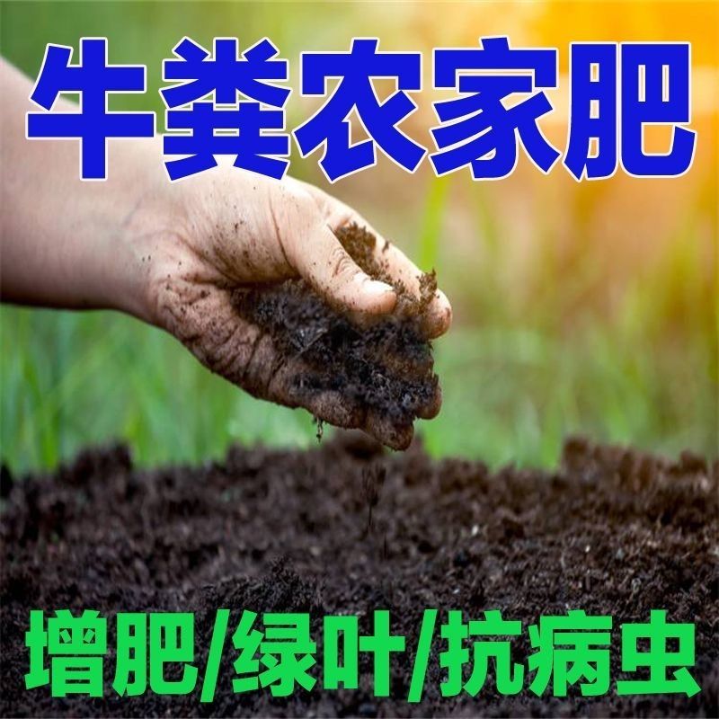广东省英德发酵纯牛粪，质量保证欢迎采购诚信为本！！