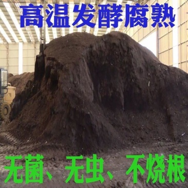 英德市有机牛粪，欢迎合作，产地直发质量保证欢迎采购！
