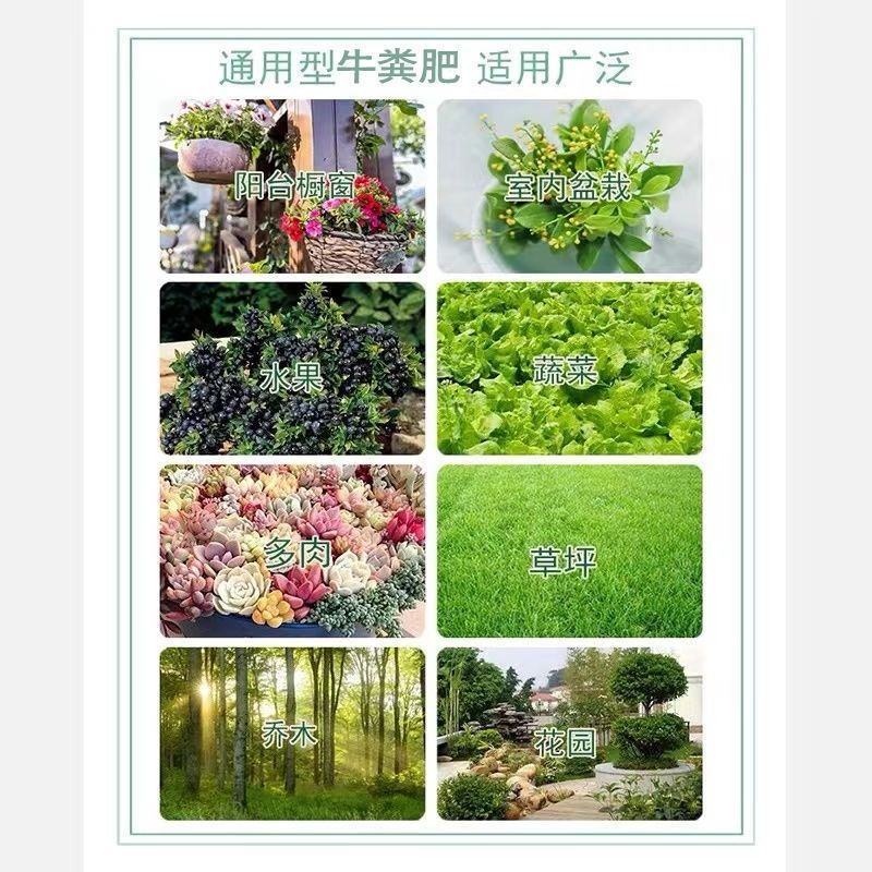 英德市有机牛粪，欢迎合作，产地直发质量保证欢迎采购！