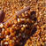 【双十一热卖】宁夏黄玉米颗粒产地直发量大价优整车批发！