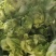 儿菜大量上市价格不高需要的联系