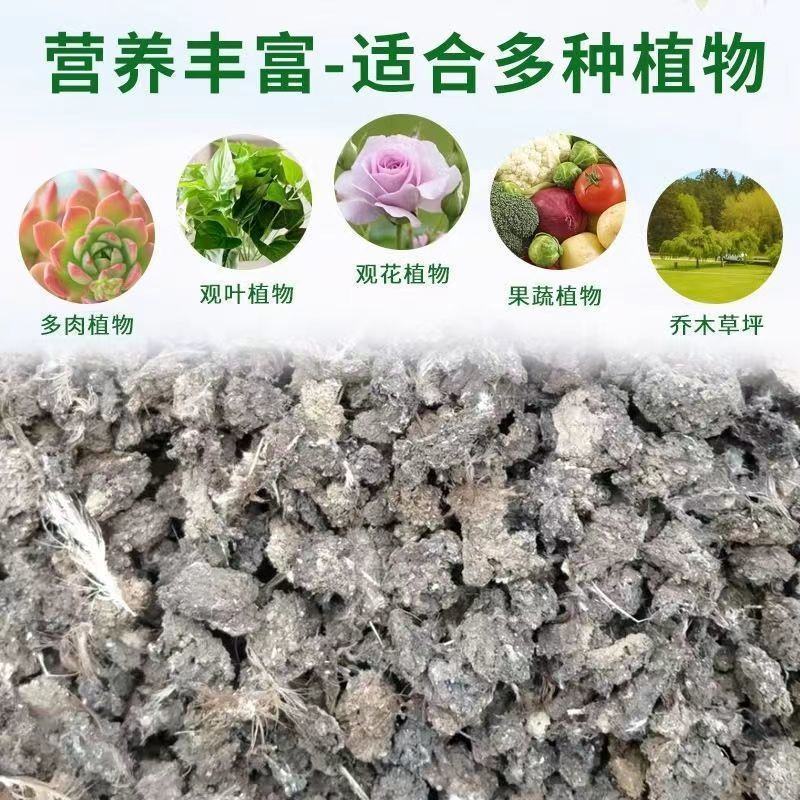 英德市鸡粪大量供应，产地直发质量保证欢迎合作诚信为本！