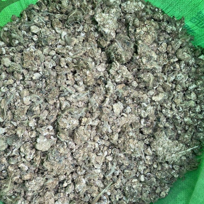 英德市鸡粪大量供应，产地直发质量保证欢迎合作诚信为本！