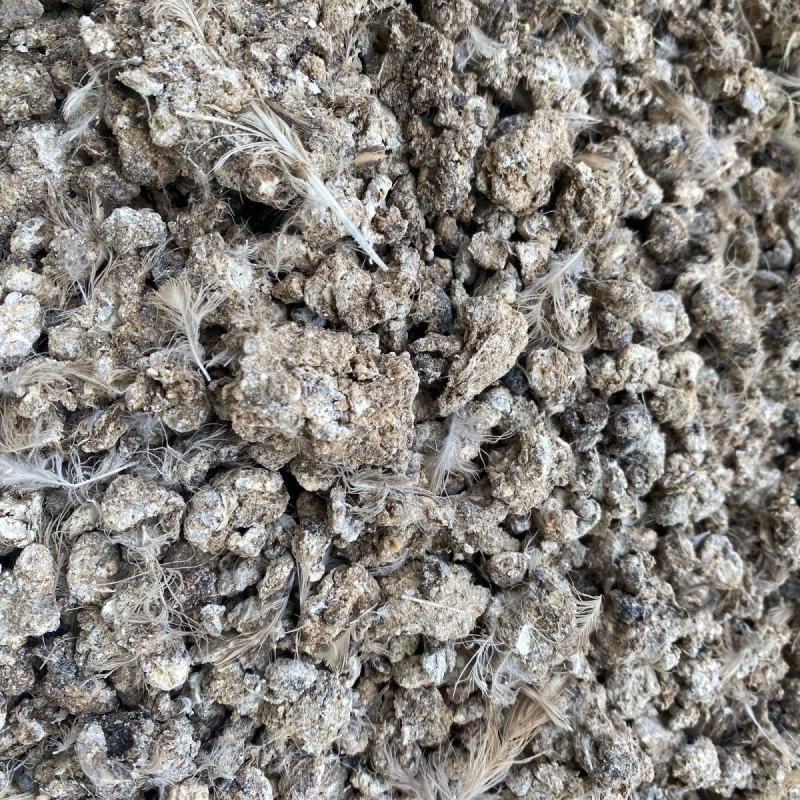 英德市鸡粪大量供应，产地直发质量保证欢迎合作诚信为本！
